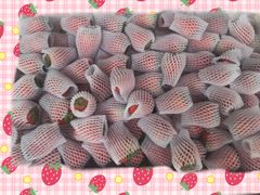 -菜园坝水果市场