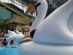 -合肥融创水世界