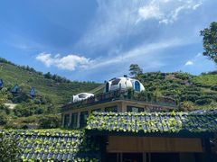 -长沙黑麋峰国家森林公园
