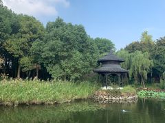 -天目湖山水园