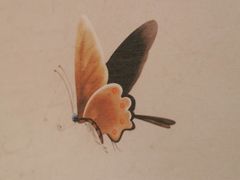 -清白羊·羊汤(天津鲁能城购物中心店)