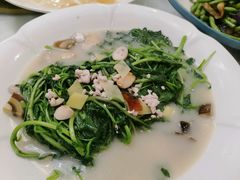 上汤西洋菜-和乐喜宴海鲜酒家(骏荣广场店)