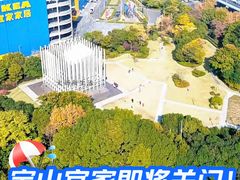 -宜家家居(宝山商场店)