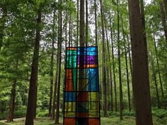 -黄海国家森林公园