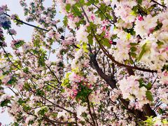 -元大都城垣遗址公园