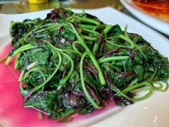 -新聚丰菜馆(太监弄店)