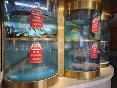 -蜀滋香鲜鱼美蛙火锅(339店)