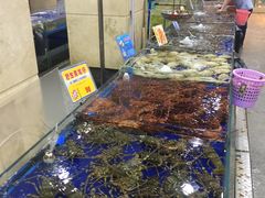 -东江海鲜酒家(艺都分店)
