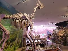 -陕西自然博物馆