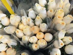 -循礼门鲜花花市(武汉循礼门店)