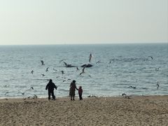 -老虎石海上公园