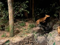 -浙江自然博物院(杭州馆)