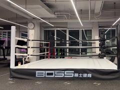 -BOSS健身