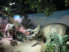 -国家自然博物馆