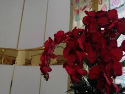 -CICI纤美·科技减肥美容