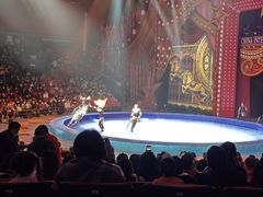 -珠海横琴长隆《卡卡虎奇遇记》