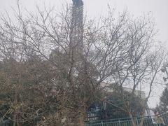 -大蜀山国家森林公园