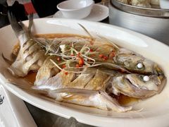 清蒸白水鱼-状元楼(金溪路店)
