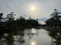 -奈良公园