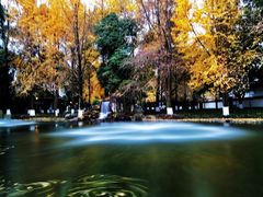 景点-温江公园