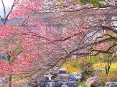 -中国茶叶博物馆(双峰馆区)