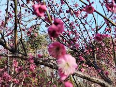 -蜀冈西峰生态公园