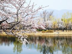 -国家植物园