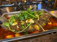 -沈胖子音乐烤吧·炒菜·龙虾(环城东路店)
