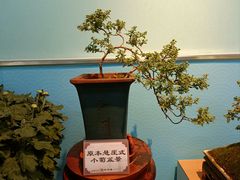-陶然亭公园