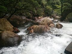 -祁门牯牛降观音堂风景区