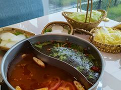 鸳鸯草本番茄锅-菌子鲜汤野生菌锅
