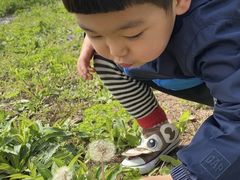 -春花秋色城市公园
