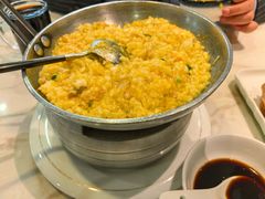 -丁老爷子苏香圆