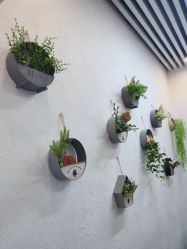 -吉米护肤造型