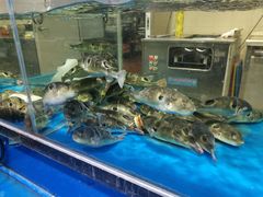 -神洲四海大酒楼(王府井澳门中心店)