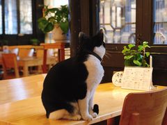 -猫的天空之城概念书店(杭州南宋御街店)