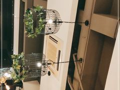 -佶政筋饼·新概念(安阳路店)