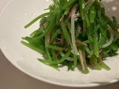 泉水时蔬-西郊5号·Maggie 5