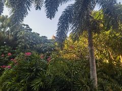 -三亚湾红树林度假世界(木棉酒店)