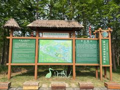 -泗洪洪泽湖湿地景区