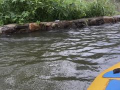 -天目湖松岭竹海漂流