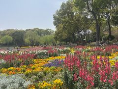 -上海鲜花港