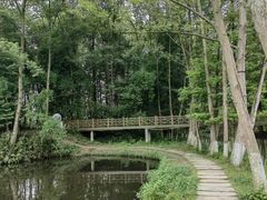 -桤木河湿地公园