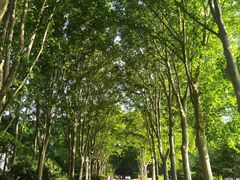 -河南省黄河迎宾馆