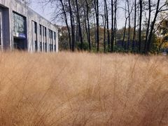 -杭州师范大学(下沙校区)