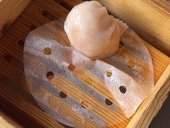 -侨美·唐荔园·40年地道粤菜