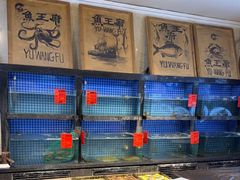 -鱼王府大酒店