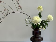 -无锡梅园公园