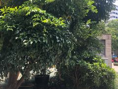 -虎门国际购物中心