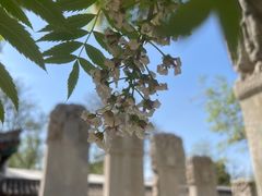 -北京石刻艺术博物馆(五塔寺)